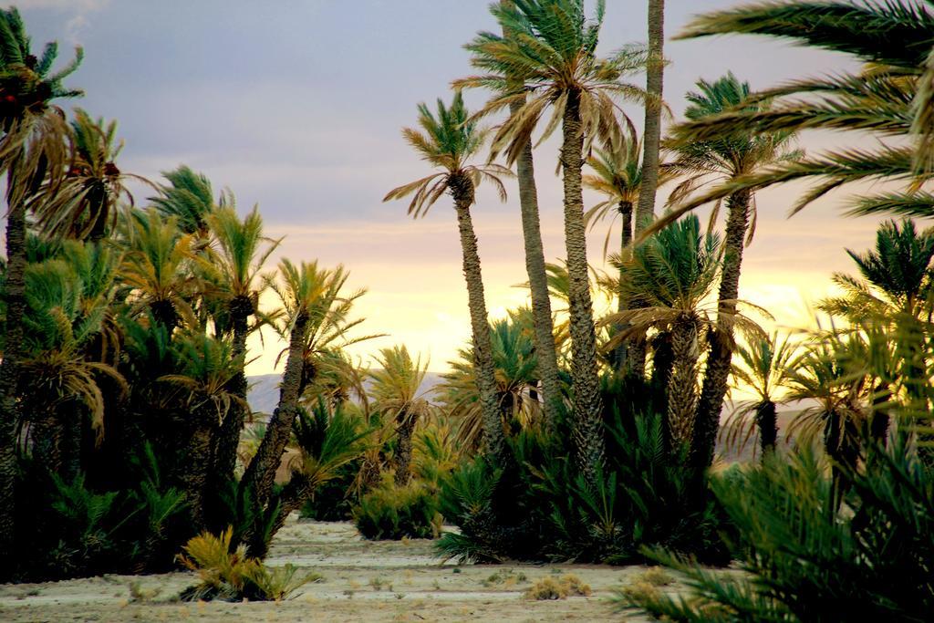 Skoura Lodge Luaran gambar